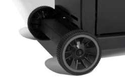 Broil King Royal 320 Gasgrill - Modell 2023 -Broil King || Napoleon || Rösle Verkaufsgeschäft 16952 Broil King Royal 824263 ROYAL FEAT 4 1607697600