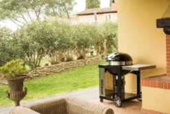 Napoleon Holzkohlegrill Kugelgrill Ø 57cm Im Rollwagen Mit Gussrost Und Deckelscharnier PRO22K-Cart-2 -Broil King || Napoleon || Rösle Verkaufsgeschäft napoleon grill terrasse PRO22K CART 2